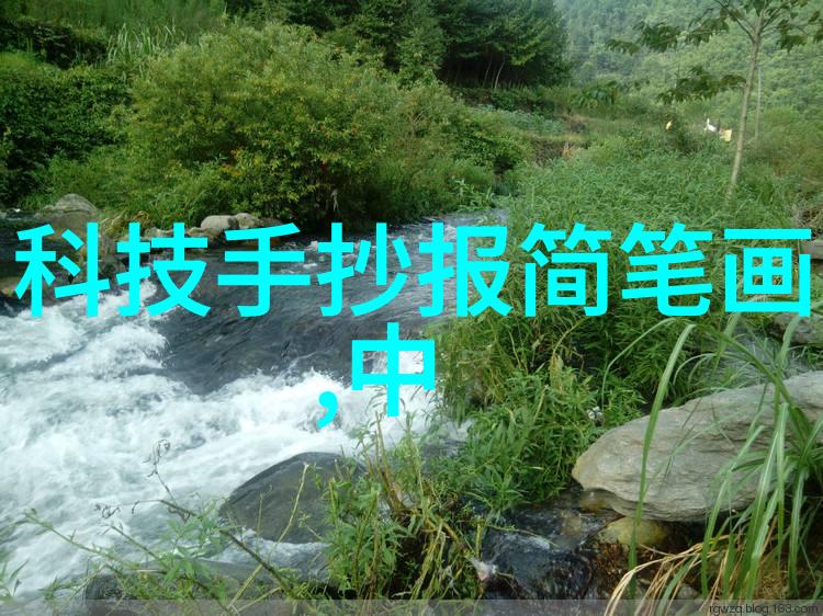 小宝寻花一段温馨的探索之旅