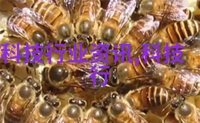 水位显示仪在防洪预警中的作用有哪些