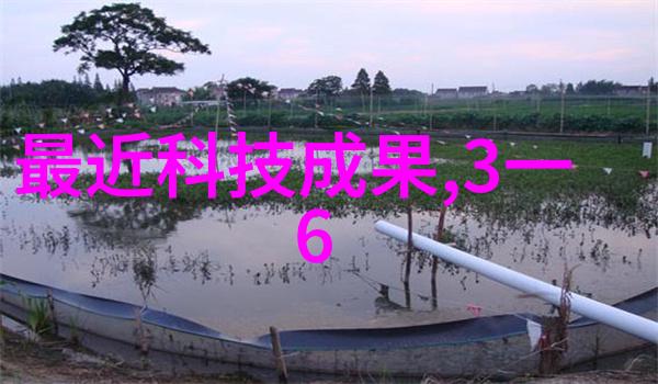 医疗决策支持系统的人类因素考量