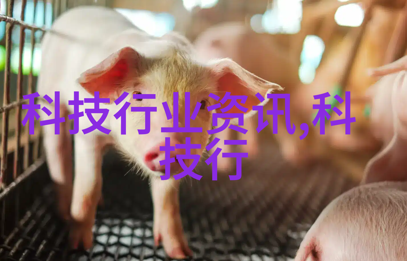 化工机械属于哪个专业的范畴