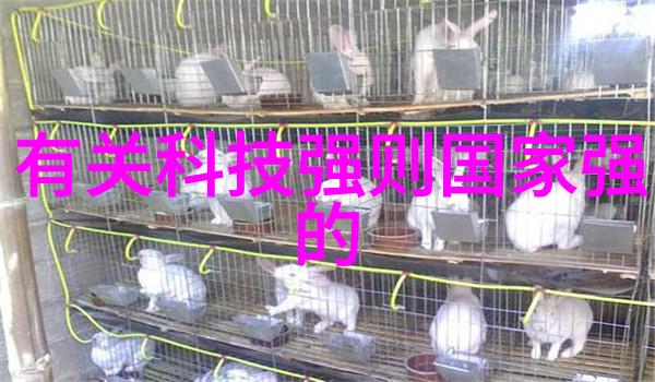 公司卫生间装修效果图大全创意空间提升员工体验与品牌形象