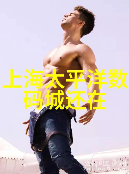 脉动清洁揭秘ldb70智能除尘器的魔力
