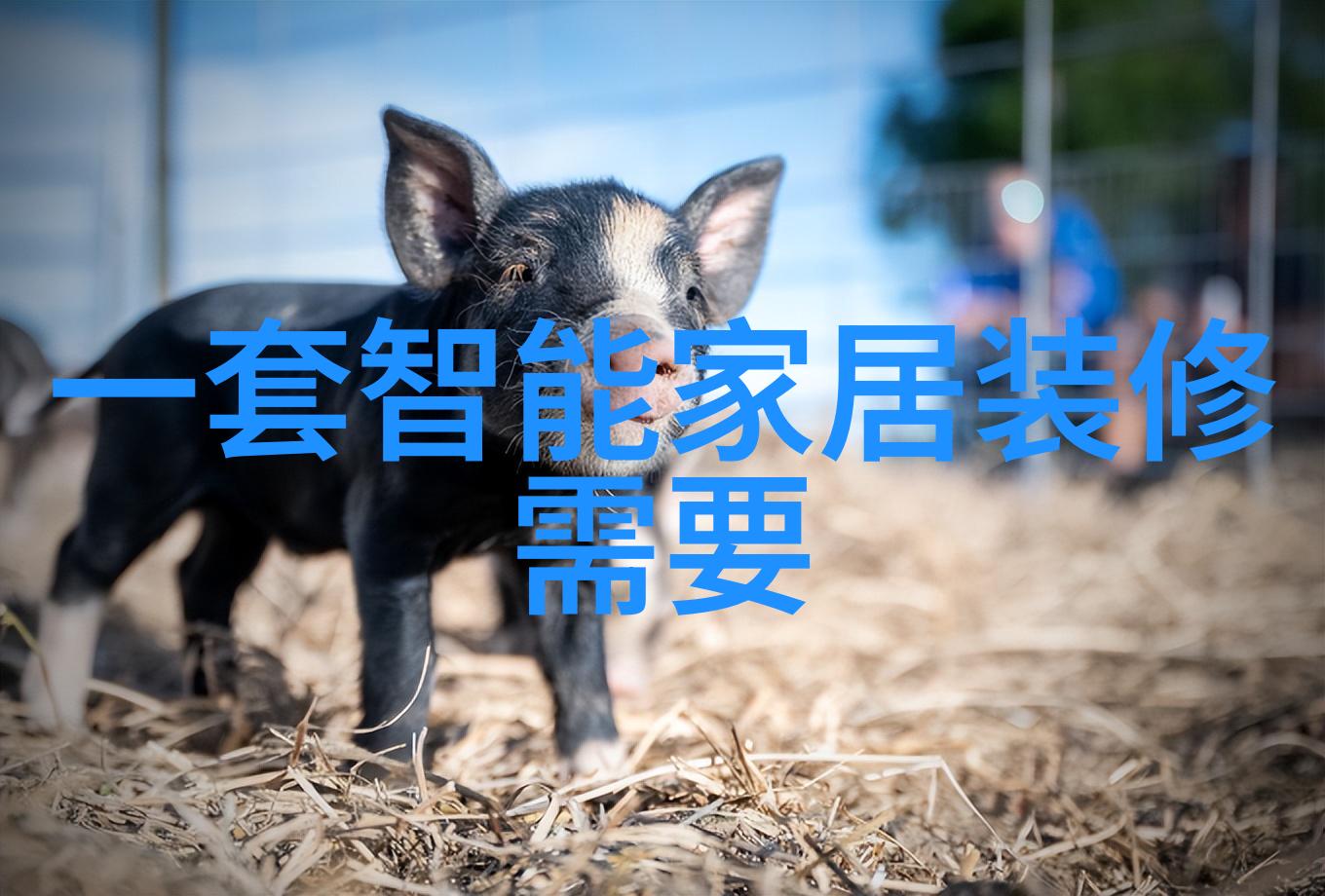 数据质量提升国家信息测评中心的关键任务之一