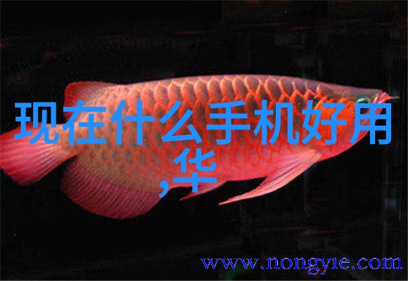 浓缩蒸发设备的原理与应用探究高效提取方法