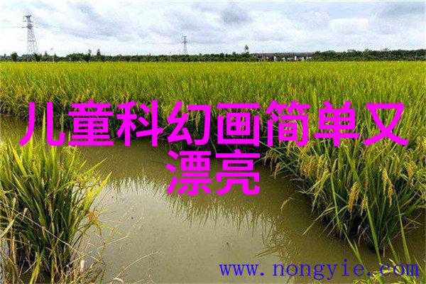 化工机械工程化学工程的子领域