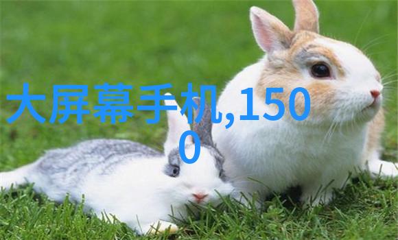 食品包装消毒设备高效食品包装杀菌技术