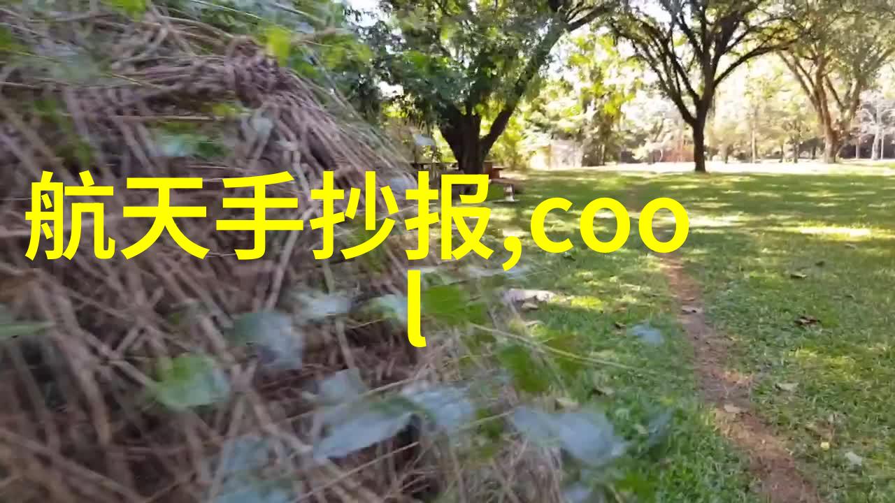 一阳吞三阴技术要求全解析掌握内功的关键之道