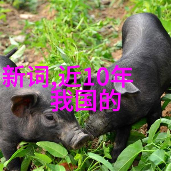 化学反应器在不同规模生产中对比分析及其布局建议