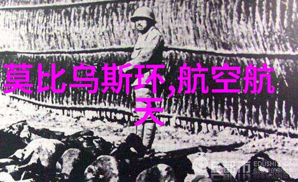 大BW时代毛毛与巨大的黑白世界