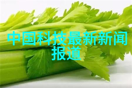 医生之手梁医生的秘密诊疗室