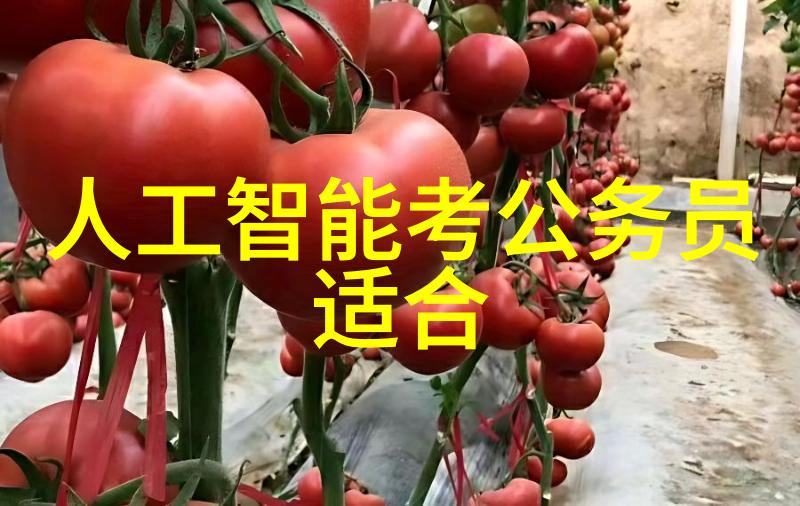 别墅双层美学探索两层别墅装修设计的艺术与实用