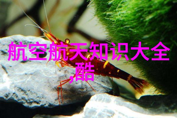 床面上空中多功能流化床的未来应用探索