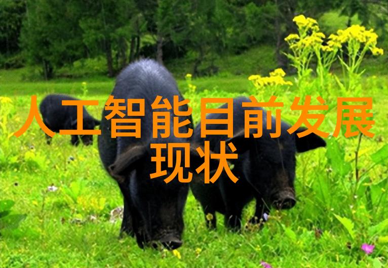 伴随技术进步QQ即时通讯速度是否能达到秒传水平