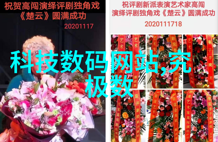 金钱的呼唤与数字的沉默项目资金申请报告