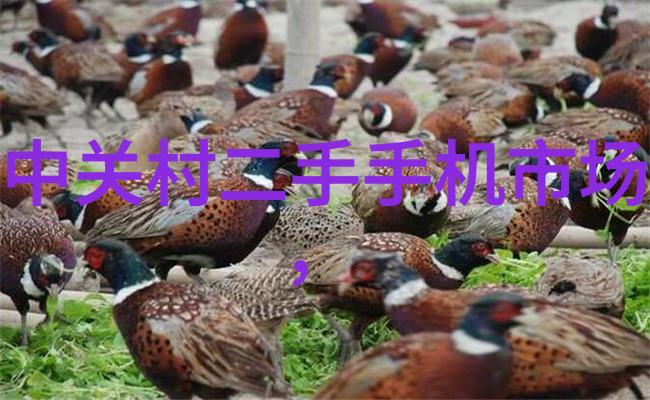 动物实验室设备先进的实验技术与方法