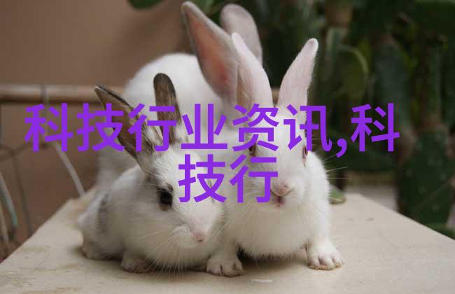 沙漠之风下的守护者干燥设备公司的故事