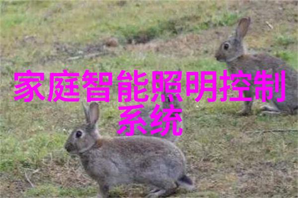 注射剂机械在医疗行业中的应用有哪些优势