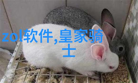 动态管式反应器的工作原理是什么