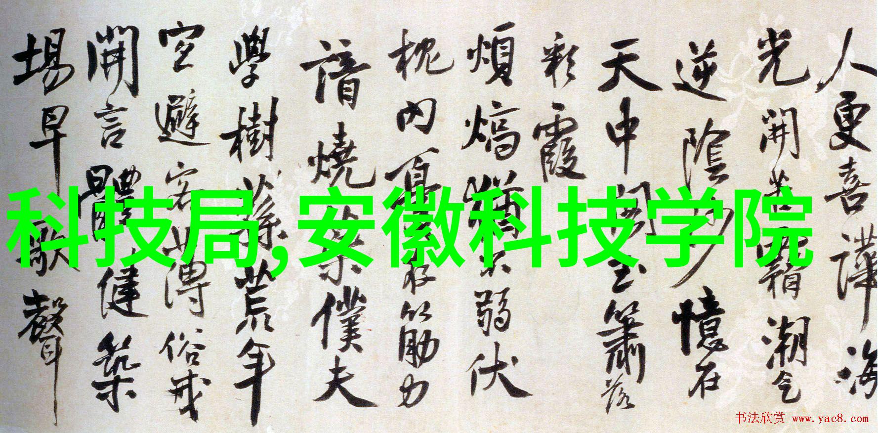 食品辐照杀菌设备在现代食品安全保障中的应用与前景探究