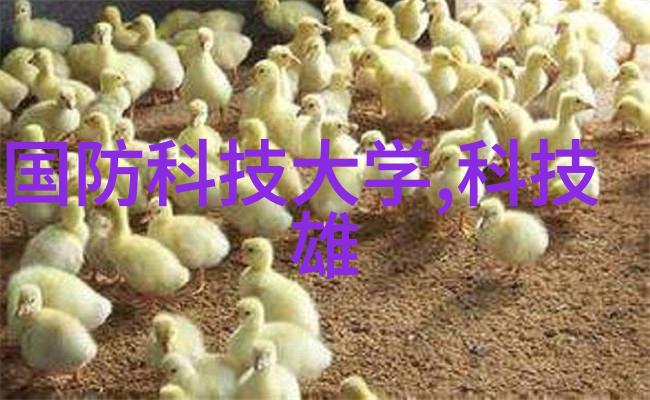 波纹深处的秘密不锈钢填料背后的谜团