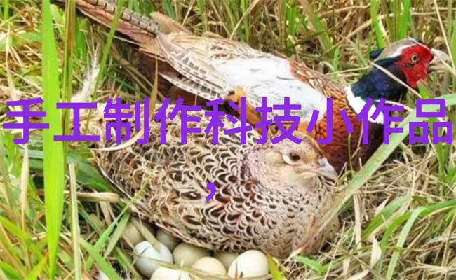新浪财经股市震荡预警投资者需谨慎配置
