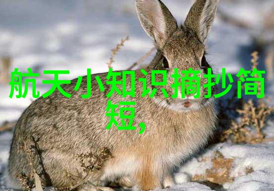 双层豪宅的完美居住空间设计