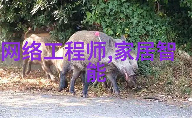 智能家居健康管理系统守护家庭健康的智慧选择