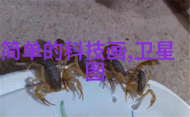 姜可林慕全文免费阅读
