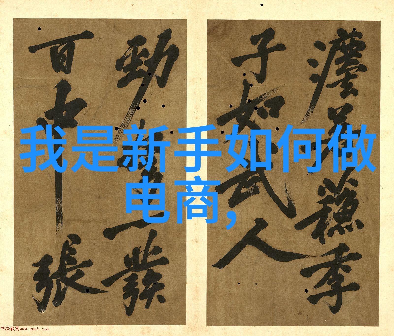 海鲜大餐的诱惑扇贝的诞生秘密与品尝技巧