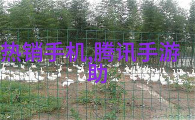 使用粘土泥石分离机后可以直接将得到的成品用于新建工程吗