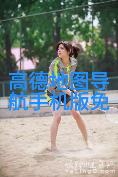 评估巨擘揭秘测评公司的工作流程与技术创新