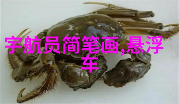 欧洲RAPPER网站仙踪林我在仙踪林遇见的那个欧洲说唱歌手