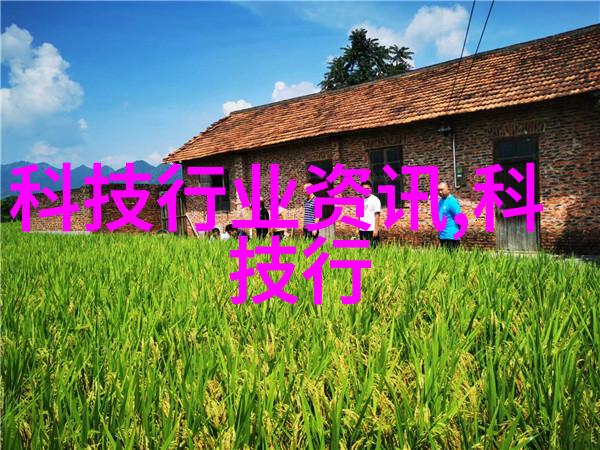 星辰之下守护者隐匿