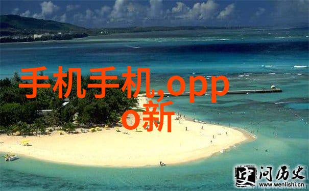 主题我是如何在反应器内部构件的世界里找到我的小脚印的