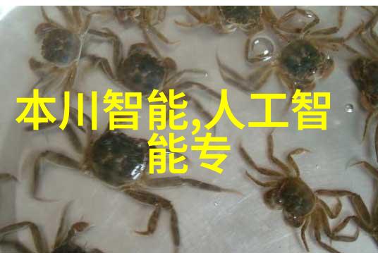 数字化革命科技公司的新篇章