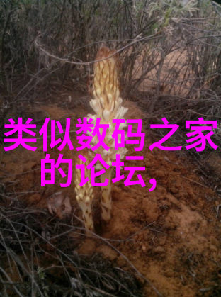 妈妈的朋友6揭秘亲密关系的复杂性与真相