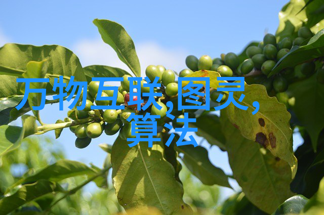 揭秘反应器压差过高的原因流体阻力泵效率与设计缺陷的综合分析