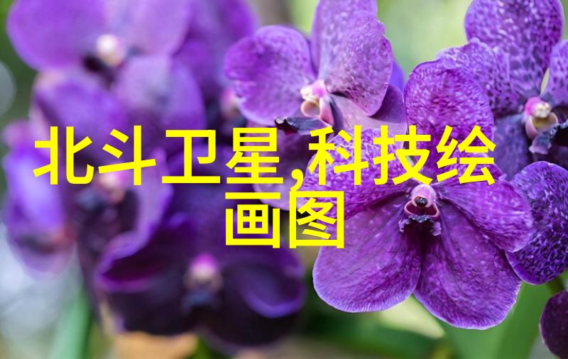 草莓视频热门短视频平台