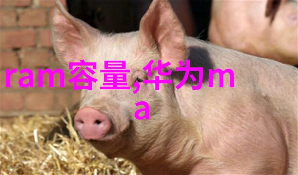 技术创新带来效益提升如何通过提高产量降低每吨201不锈钢板成本