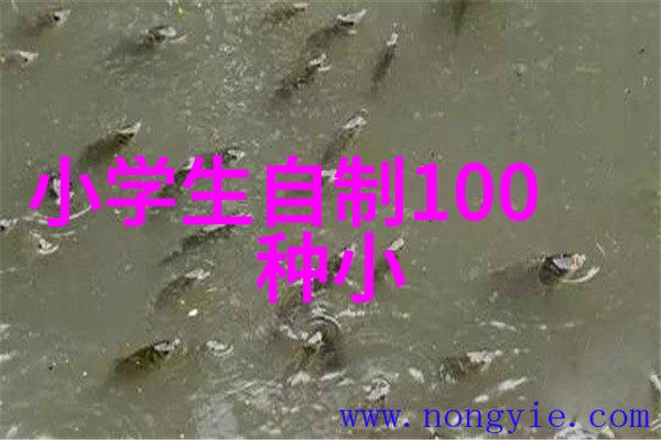 皮带输送机设备在现代工业自动化中的应用与发展探究