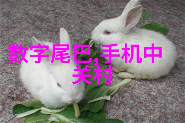 装修水电设计图家庭美学与实用功能的完美结合