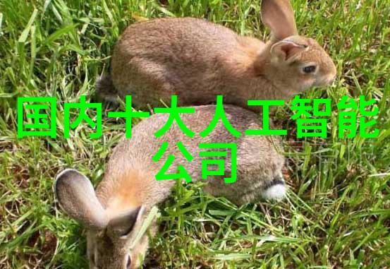 润滑之神道达尔的守护秘密