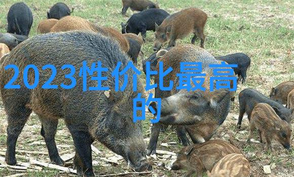 货车配件批发市场暗流涌动的利益交错