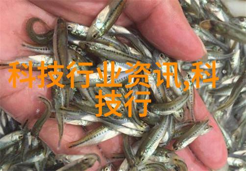 旋转传送物流新篇章