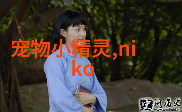 无人机应用技术未来航空领域的新星