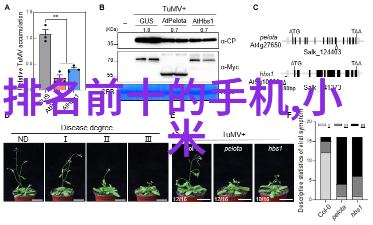 牙科高压蒸汽灭菌锅操作指南牙科医疗器械清洁消毒技术