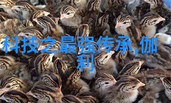 高性能化工膜及其关键组件的创新应用与挑战