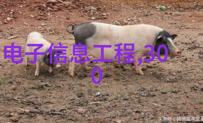 地面下隐藏的净化工厂地埋式废水处理设备如何运作