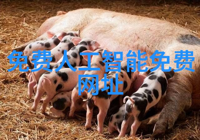 西南财经政法大学2024年汽车产量同比下跌139