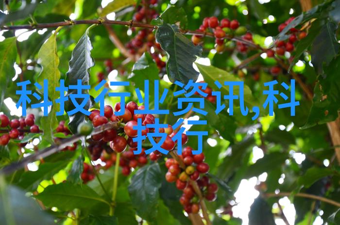 安徽财经大学教务处岁月铸就的学术殿堂